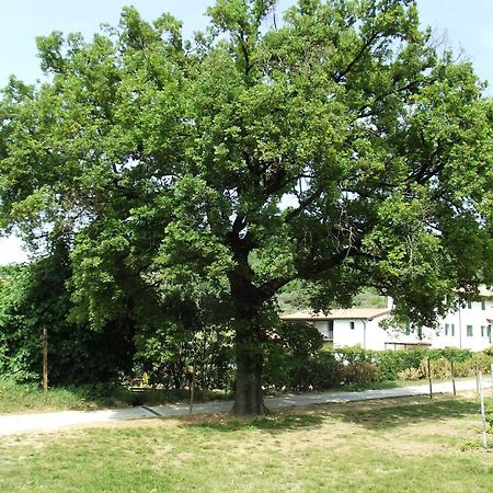 Agriturismo Ca' Castellani Bardolino Exterior foto